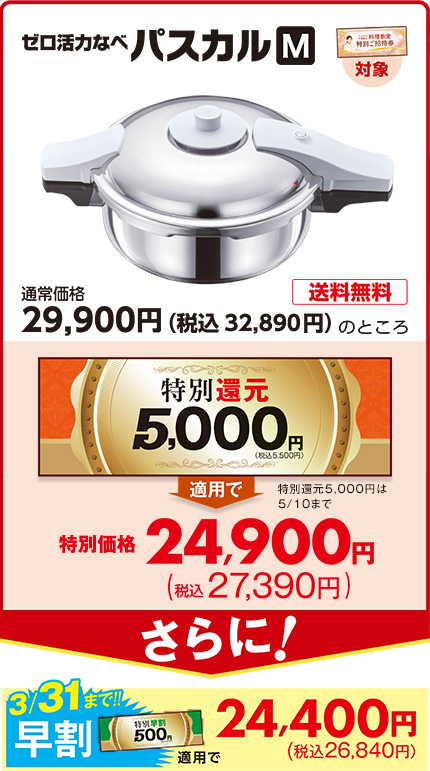 ゼロ活力なべパスカル（M）