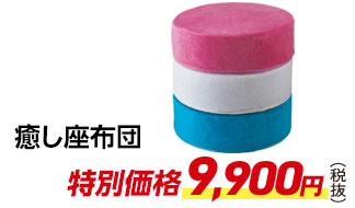 癒し座布団 特別価格 税抜9,900円
