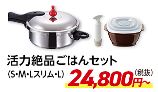 活力絶品ごはんセット