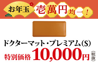 ドクターマット・プレミアム(S)