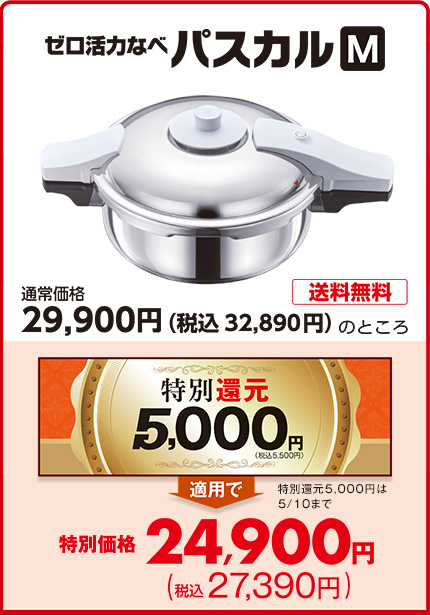 ゼロ活力なべパスカル（M）