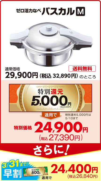 ゼロ活力なべパスカル（M）