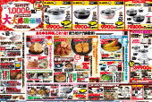 6月15日 全国折込チラシ