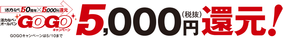 GOGOキャンペーン5,000（税抜）円還元