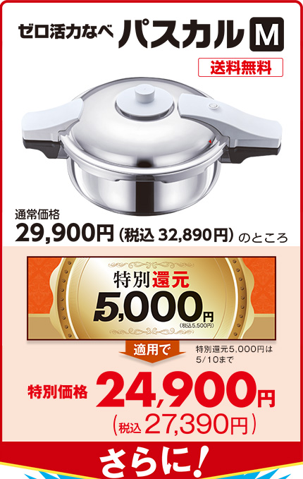 ゼロ活力なべパスカル（M）