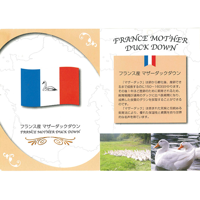 フランス産ホワイトマザーダック本掛け羽毛布団02