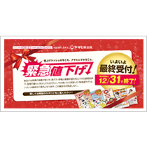 カタログイメージ