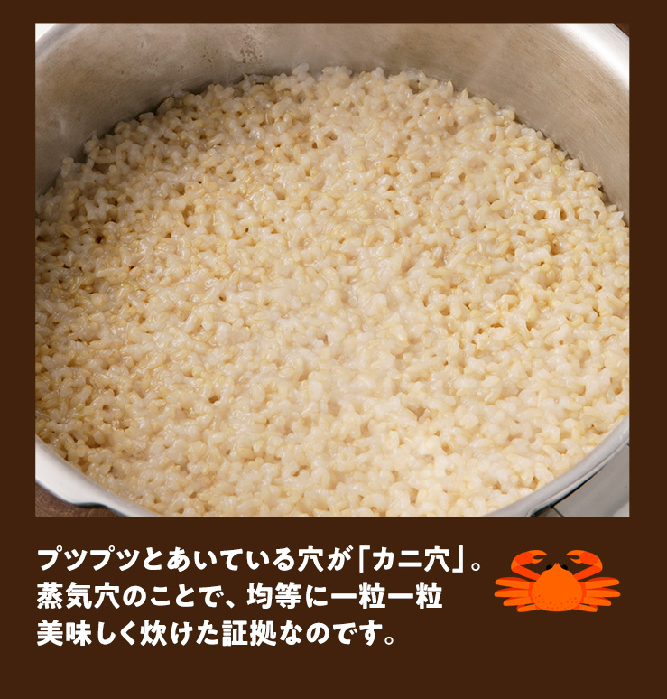 玄米は、高圧オモリで。白米のようなもっちりとした食感に。