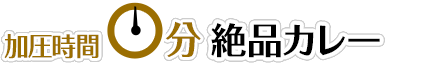 【加圧時間0分】絶品カレー