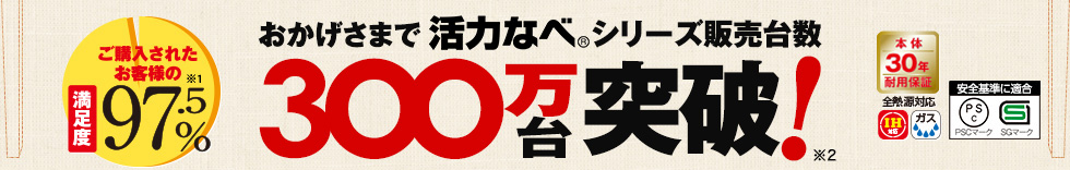 おかげさまで300万台突破